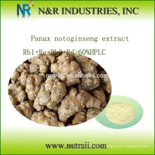 Panax notoginseng Extrait Rb1 + Rc + Rb3 + Rd&gt; 60% HPLC